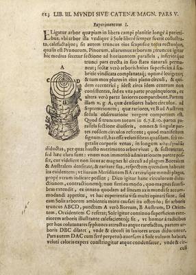 De Magnetica [...] Plantarum  p. 614